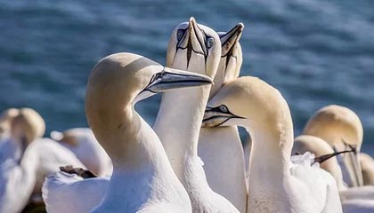 2030年,湖南建成20年及以上的老旧小区将实现“愿改尽改”