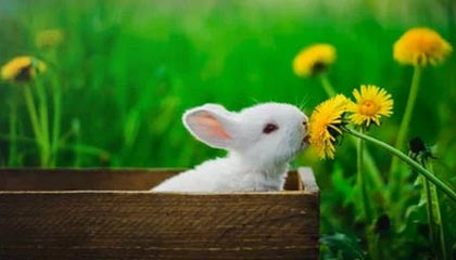 视频 | 加沙民众:钥匙还在 家已经没了