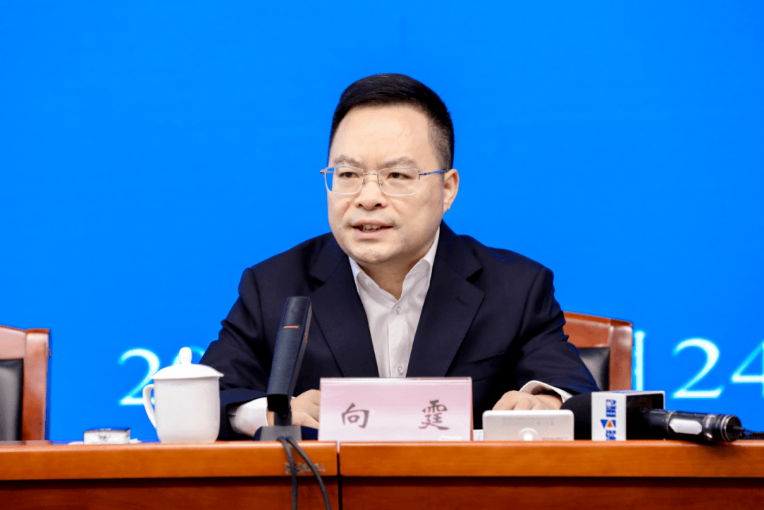 中央巡视期间,向霆被查