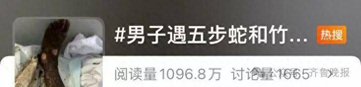 安徽宣城一男子走路玩手机,一脚踩中打架的竹叶青和五步蛇,被俩毒蛇咬3口!医院:暂无生命危险,正在治疗