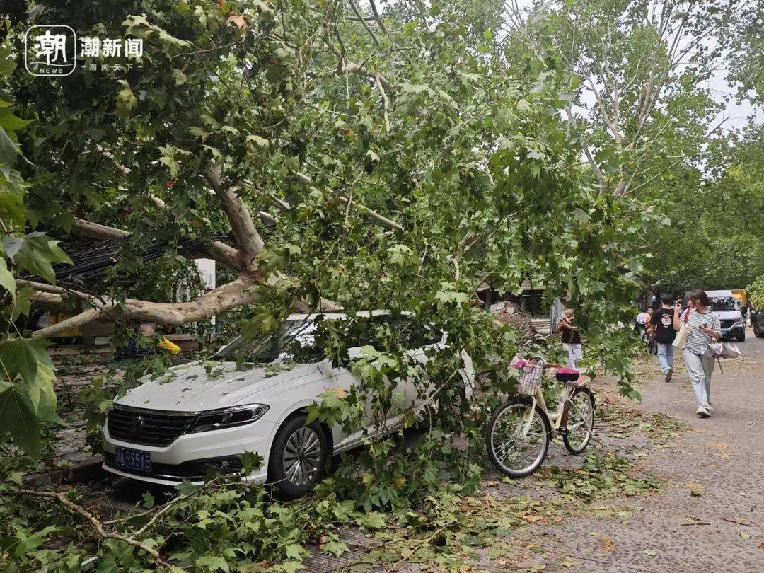 今天更猛:浙江午后局地暴雨、11级雷暴大风、小冰雹!台风“蓝湖”或将生成