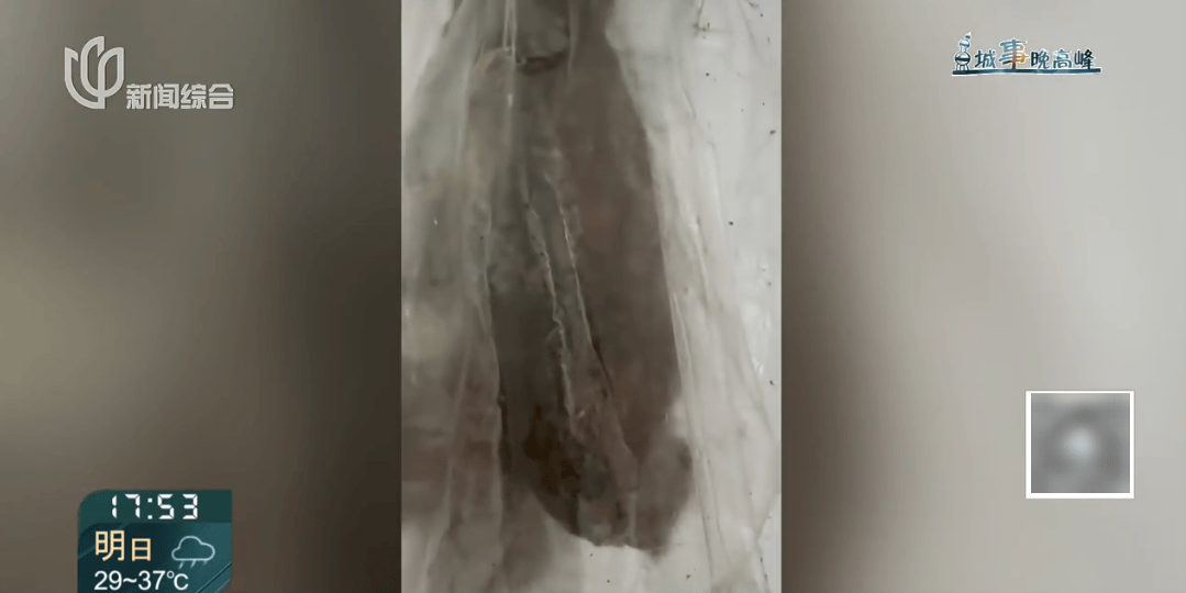 上海这对夫妇住洋房遇到“疯狂邻居”:楼道放大便