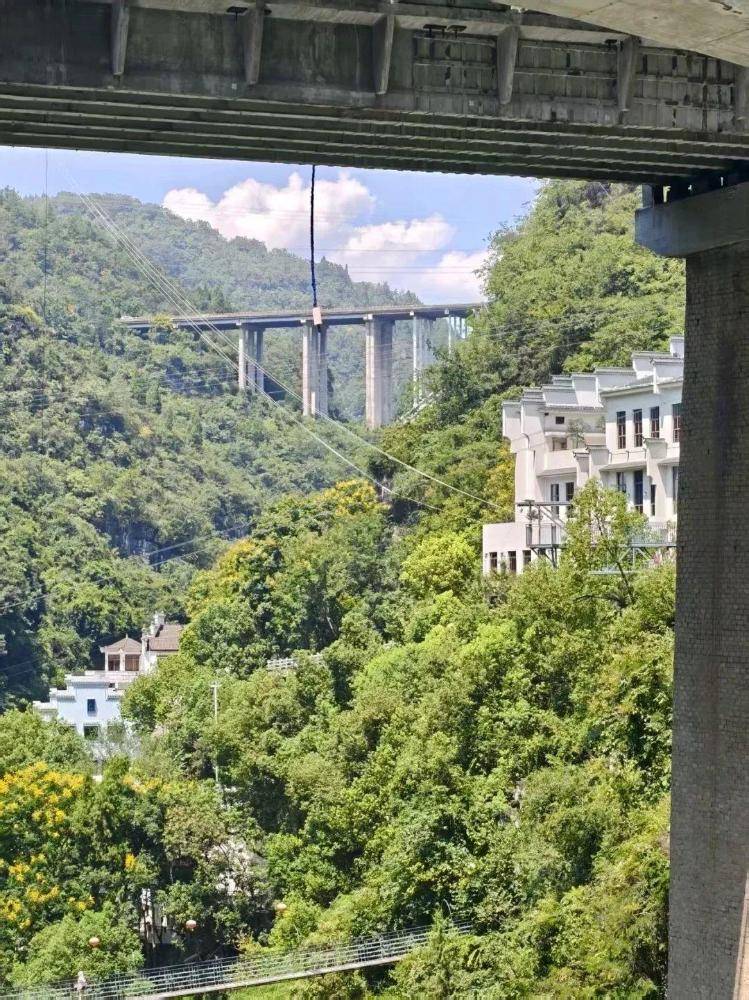 景区蹦极绳疑断开,游客坠入水中!目击者称坠落高度超40米,水里有血迹,当地文旅局通报