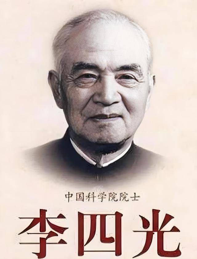 杨幂为什么叫杨幂?人名中的数字与数学