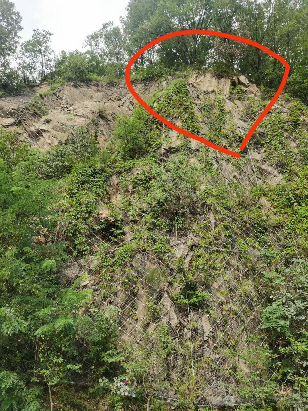 河南山体落石致36岁男子死亡案将一审开庭,家属起诉多部门索赔146万余元