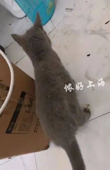 上海一房东崩溃!"00后"情侣租客失联,打开房门直呼"辣眼睛"…