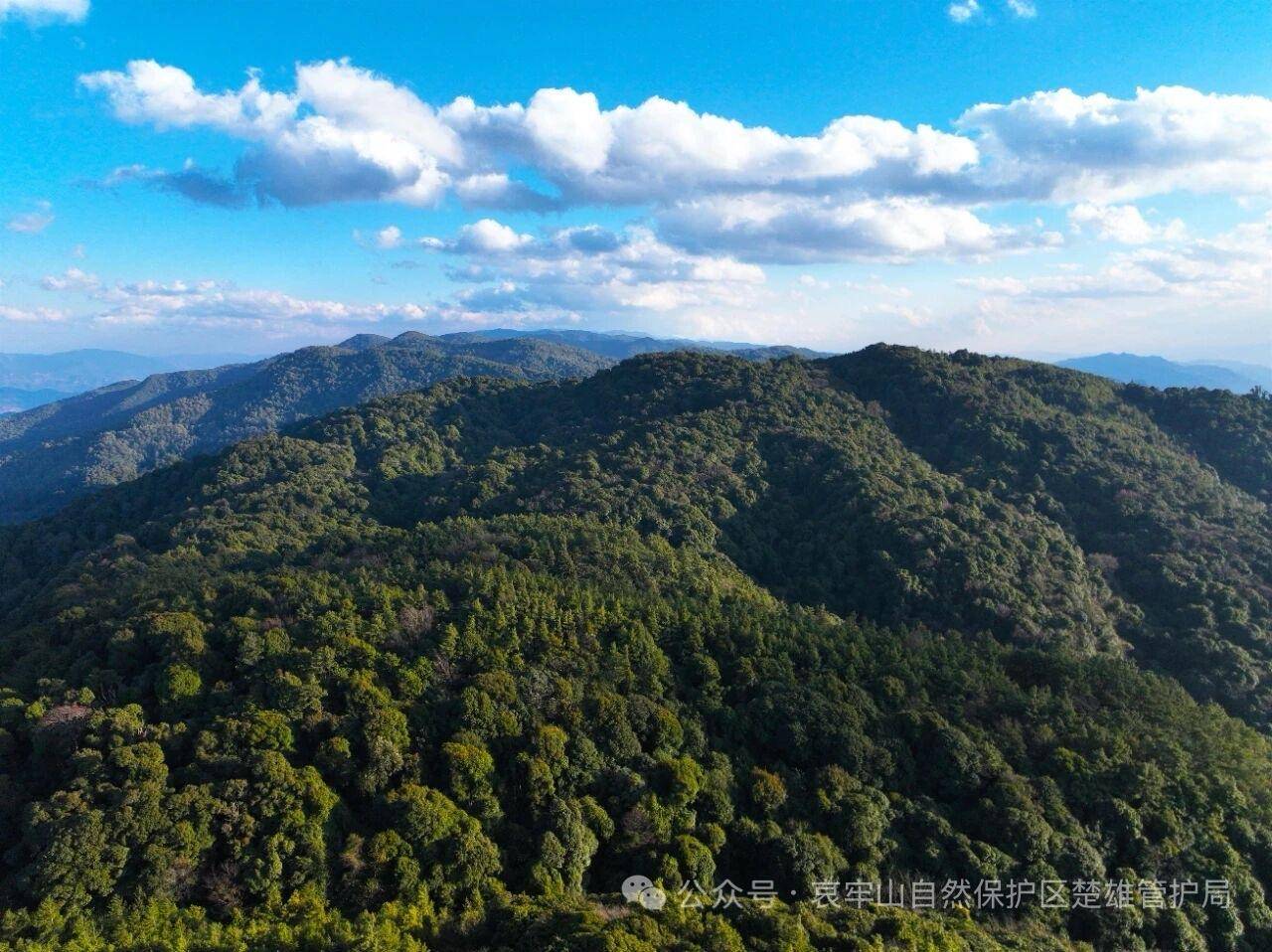 云南哀牢山新规出台:禁止任何单位和个人擅入哀牢山自然保护区,从事科研活动须报批