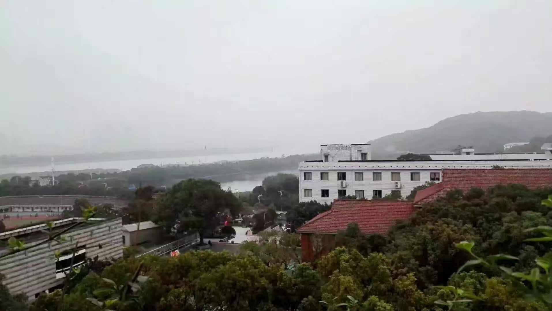 县城女孩赴美留学 哈佛梦值不值200万?