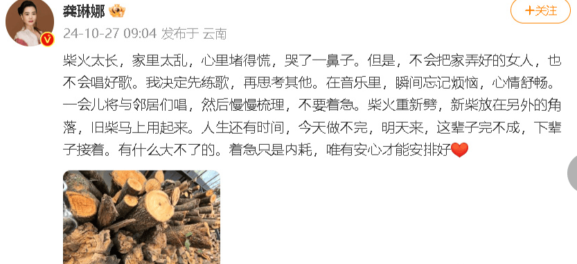 考古|龚丽娜新书首谈20年婚姻破碎！男方禁止她叫老公，还疑婚内爱上奥地利少妇