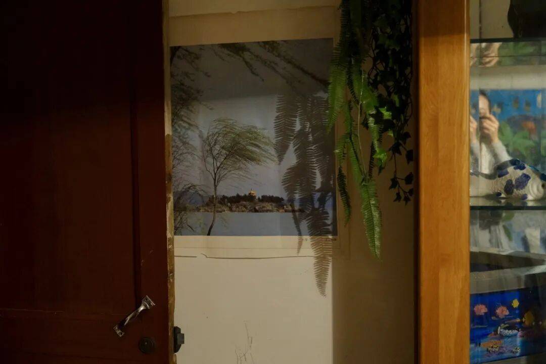 突然爆火!“00后”姑娘靠杭州居民房月入过万!每月来五六波……