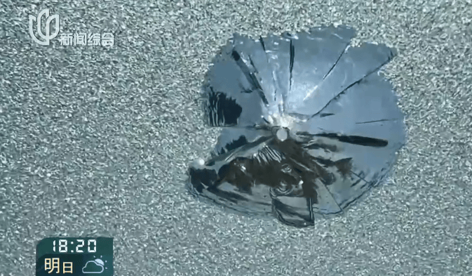 叶某(60岁)已被刑拘!监控曝光…网友怒斥如此行径太恶劣