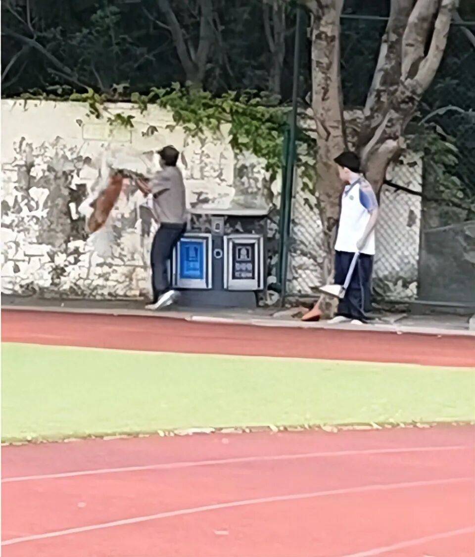 福建一公办职中保安被指当学生面,从3米高墙扔出流浪狗!福清教育局:将核实情况