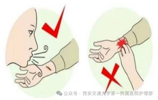 西安多区发现隐翅虫?千万别拍!毒液堪比硫酸