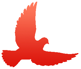 国庆、中秋双节门诊安排通知