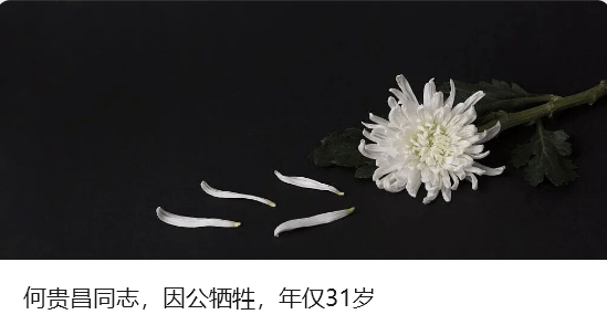 广东:全省各地各部门迅速进入临战状态