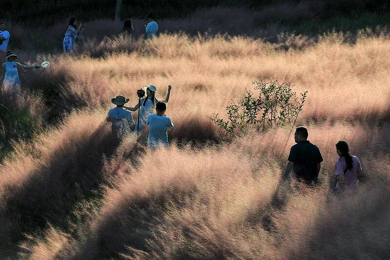 【曝光台】打卡拍照，再美也不能用生命对焦