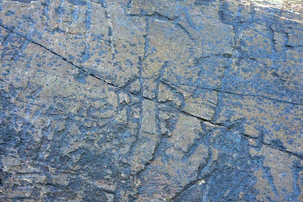 中华文化跃动传承之力