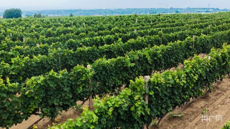 光耀太行·红土巨变 | 乡宁:能源重镇焕新出发