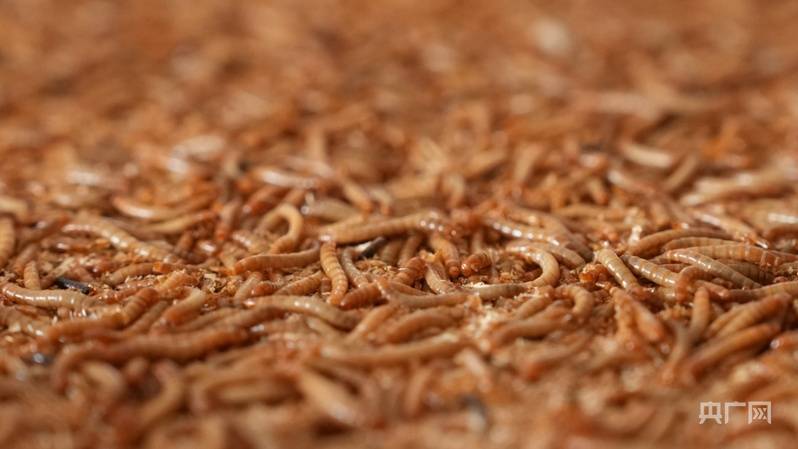 光耀太行·红土巨变 | 乡宁:能源重镇焕新出发