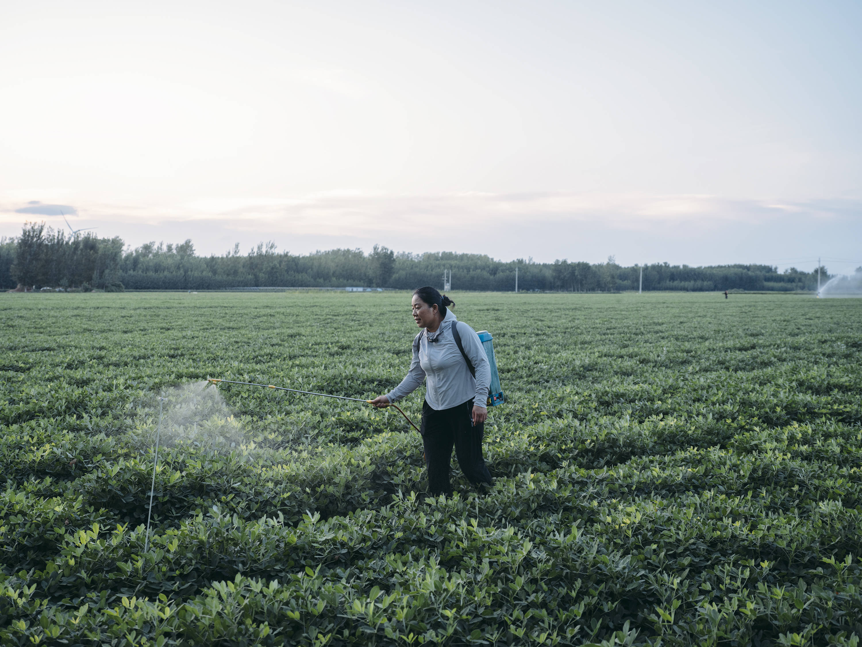 农村宝妈为潮牌玩偶做衣服 月还2千房贷