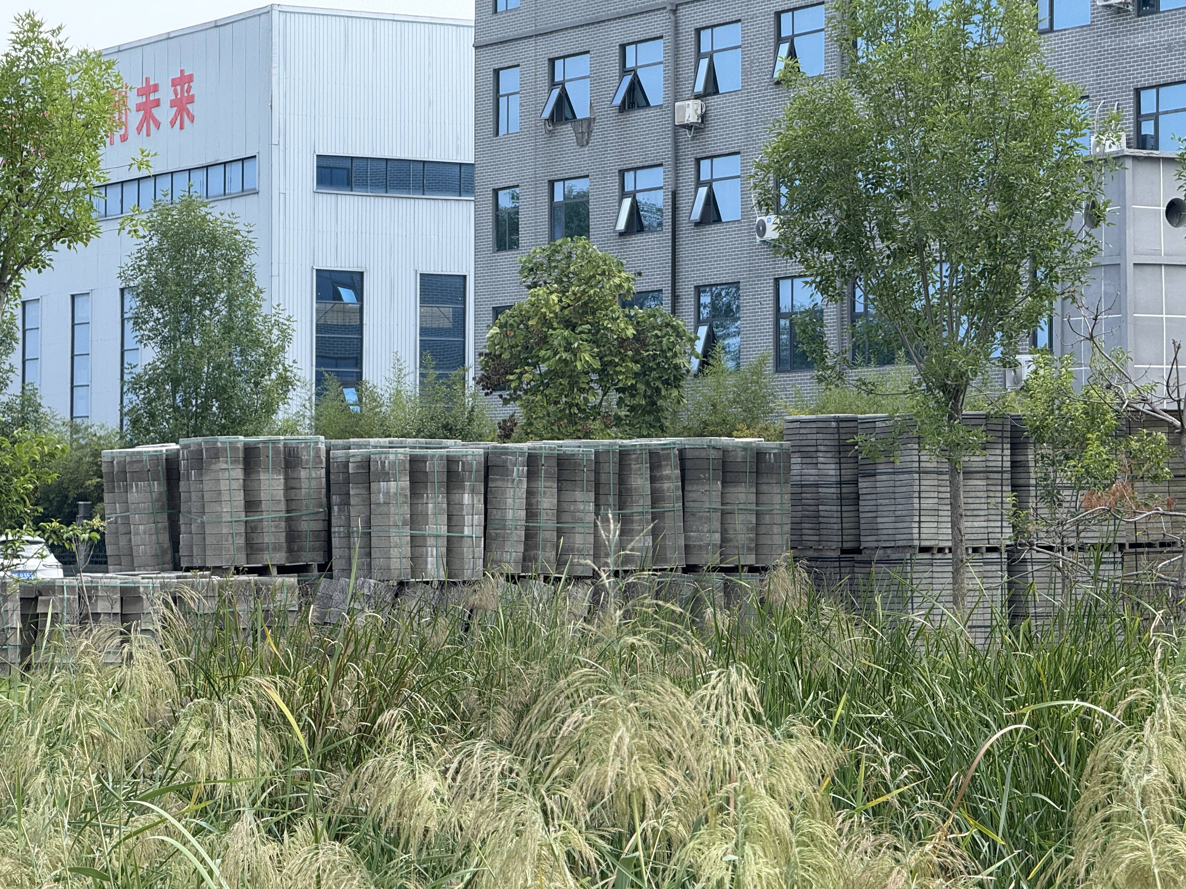 女儿寻找残障父亲9年 发现他曾被困砖厂