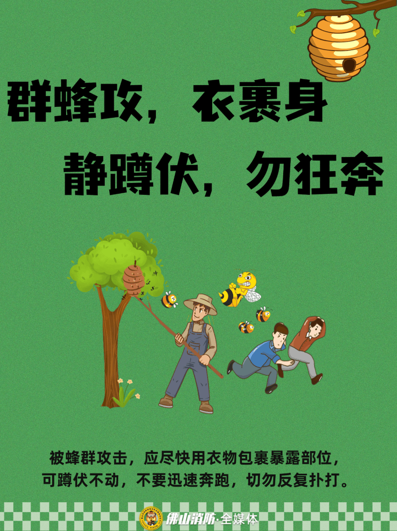 深圳一市民突遭马蜂围袭!已进入高发期,千万别招惹!
