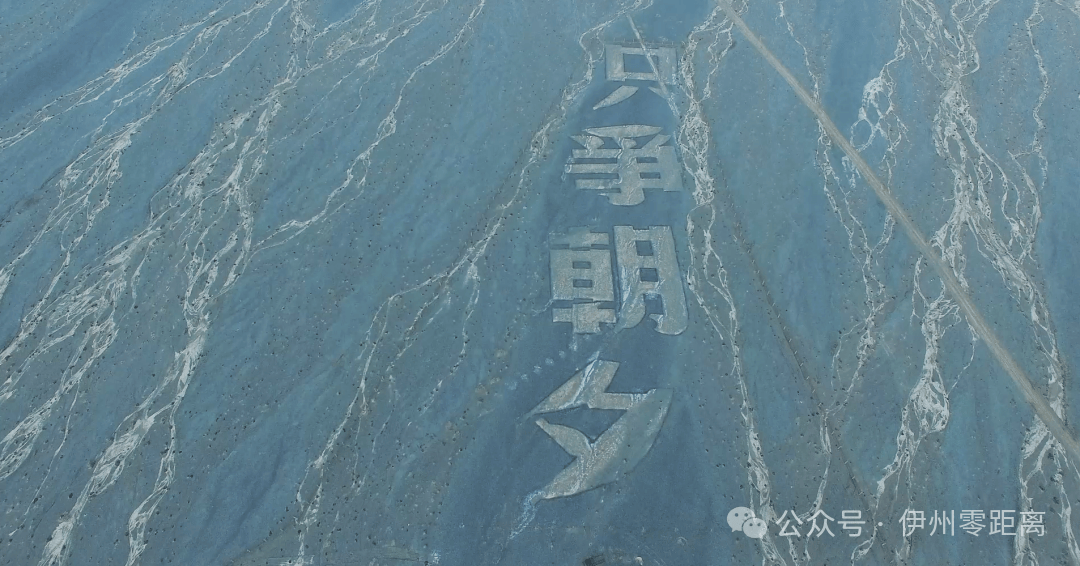 戈壁滩“为人民服务”大字遭破坏 新疆哈密:积极谋划整体保护方案