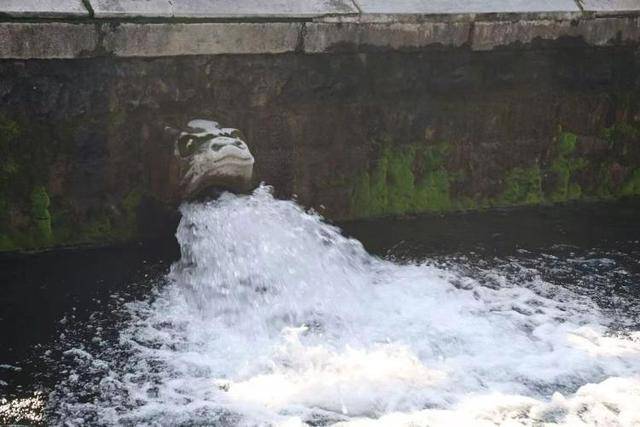 黑虎泉喷得“兽头”都不够用了!济南群泉竞涌,几十年一见