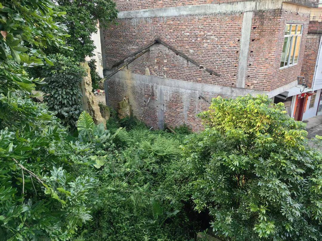 福建一男子被控杀害3人服刑20年 释放后申诉无罪被驳回|封面深镜