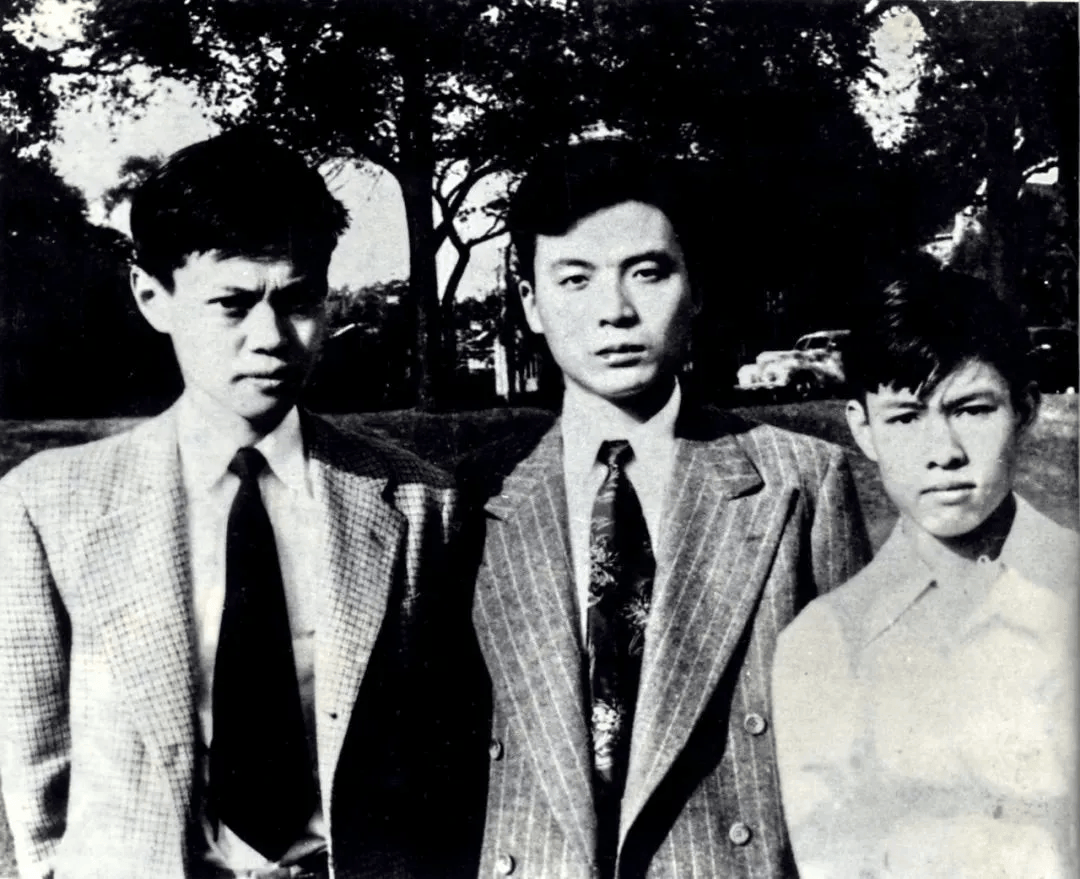 103岁杨振宁去世,象牙塔倒塌