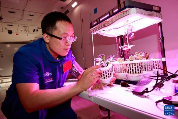 心怀凌云壮志 逐梦星辰大海——记神舟二十一号航天员乘组