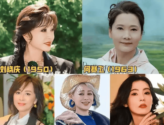 考古|何赛飞录节目把刘嘉玲刘晓庆等嘉宾得罪完，她是情商低还是真性情？