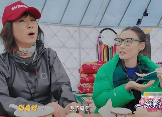 考古|何赛飞录节目把刘嘉玲刘晓庆等嘉宾得罪完，她是情商低还是真性情？