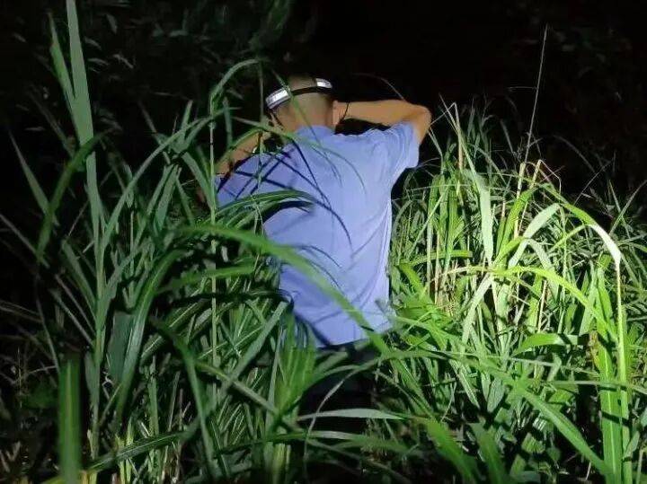 禁止任何形式穿越!杭州一地发布最严禁令