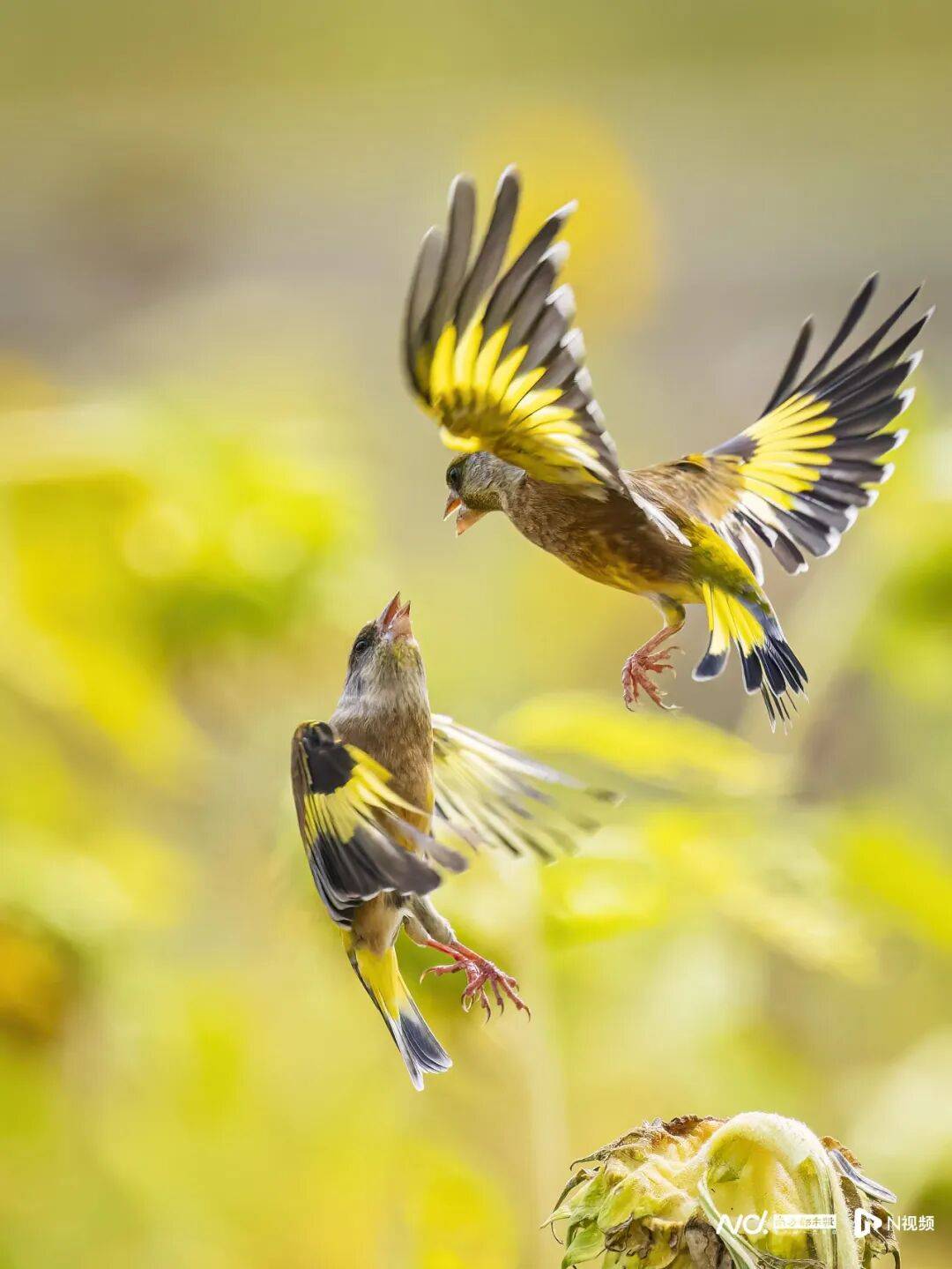 东莞最新发布:将严厉打击这些行为!