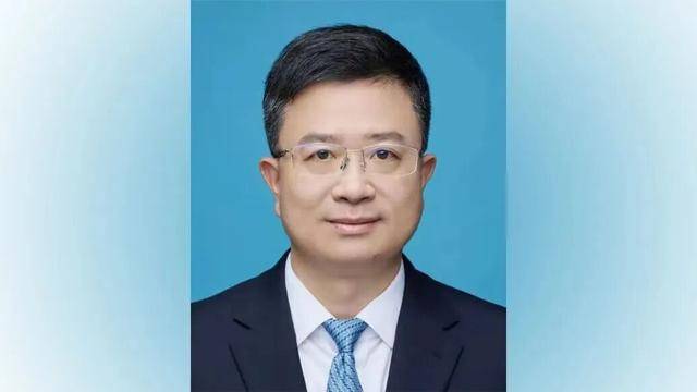 罗蔺,已任重庆市委常委、两江新区区委书记