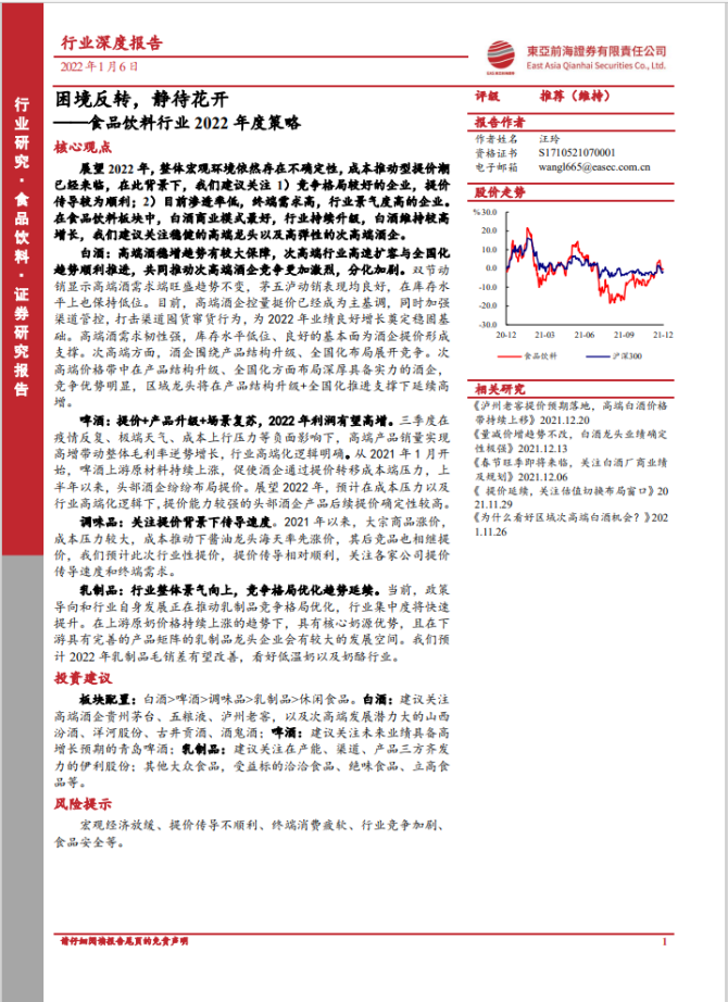 证券策略报告(证券策略报告在哪里找)