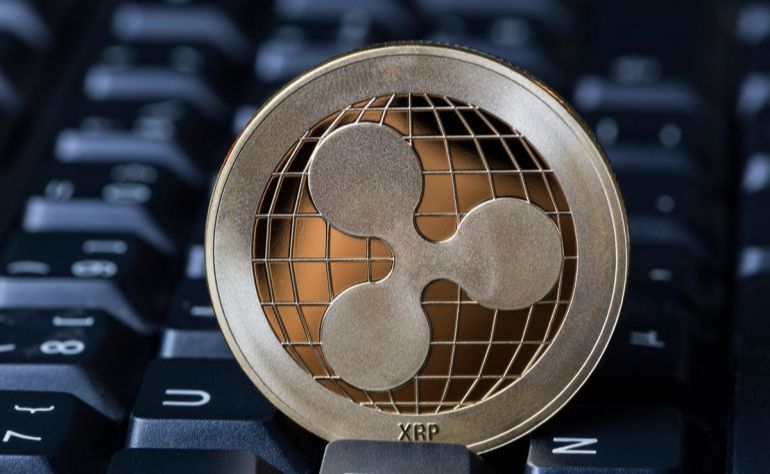 xrp(p65xrp) xrp(p65xrp)