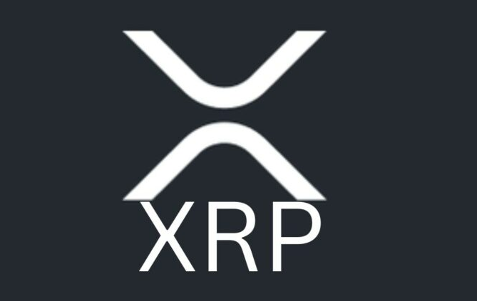 xrp(p65xrp) xrp(p65xrp)