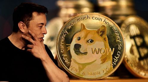 doge币行情(09年上大学买了5000个比特币) doge币行情(09年上大学买了5000个比特币)