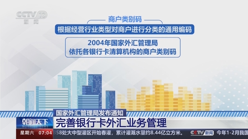 国家外汇网(国家外汇网上服务平台)