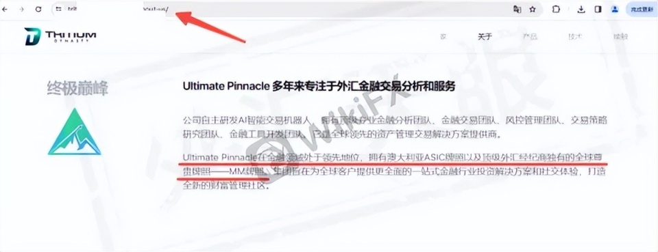 专业外汇平台(专业外汇平台是什么) 专业外汇平台(专业外汇平台是什么)