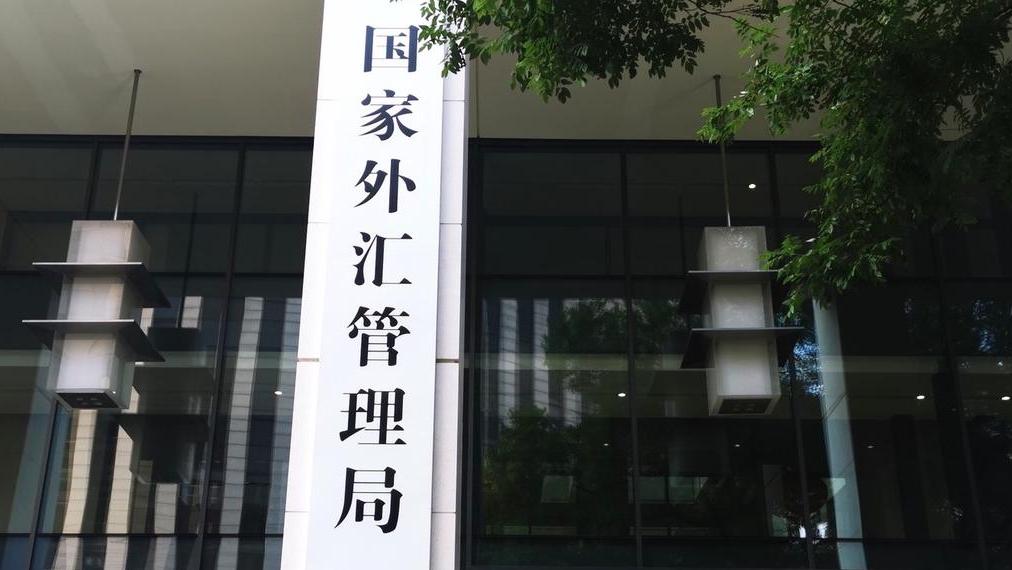 国家外汇网(国家外汇网上怎么申报) 国家外汇网(国家外汇网上怎么申报)