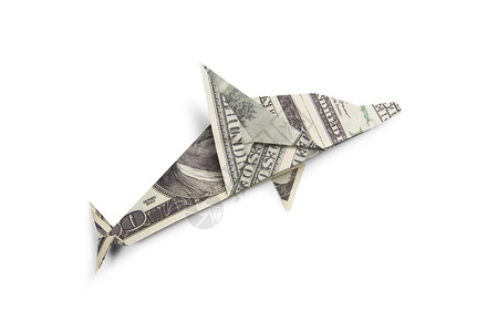 海豚外汇(海豚交易系统赚钱吗) 海豚外汇(海豚交易系统赚钱吗)