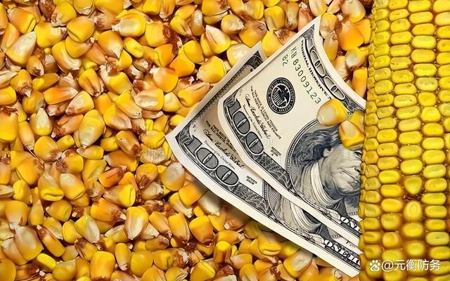 外汇存底(外汇存底英文) 外汇存底(外汇存底英文)