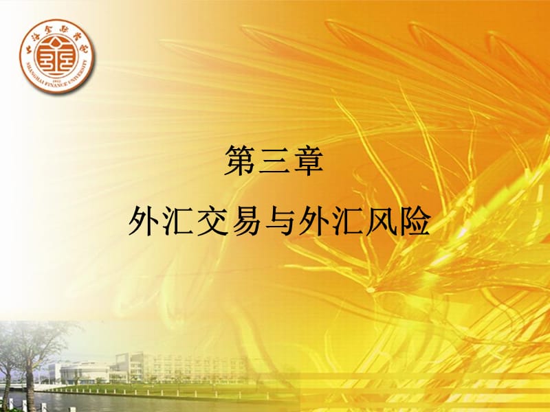 外汇风险规避(外汇风险的防范措施和途径) 外汇风险规避(外汇风险的防范措施和途径)