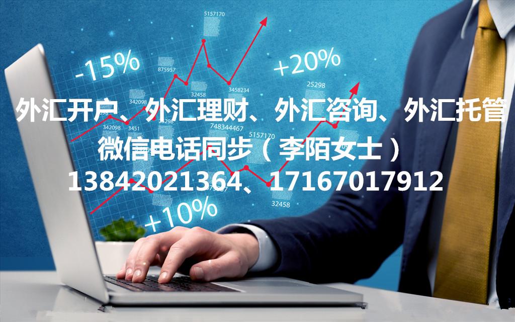 上海的外汇公司(上海正规外汇平台) 上海的外汇公司(上海正规外汇平台)