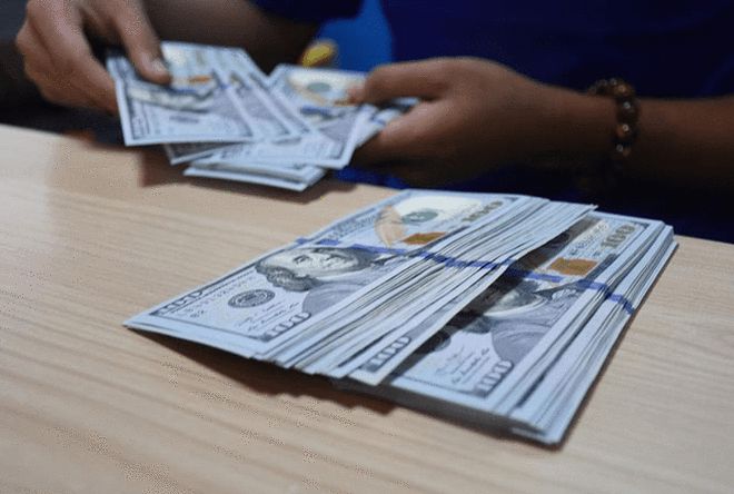 外汇许可(外汇许可证样板图高清)