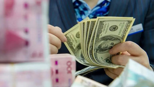 外汇顺差(外汇顺差国) 外汇顺差(外汇顺差国)