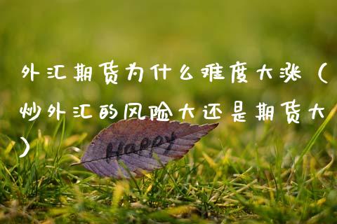 炒外汇风险(投资外汇有风险吗?) 炒外汇风险(投资外汇有风险吗?)